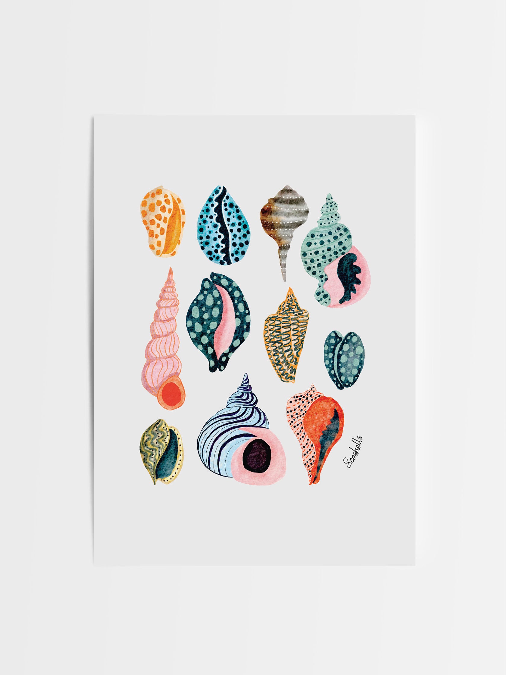 Shell I Tell You A Story?