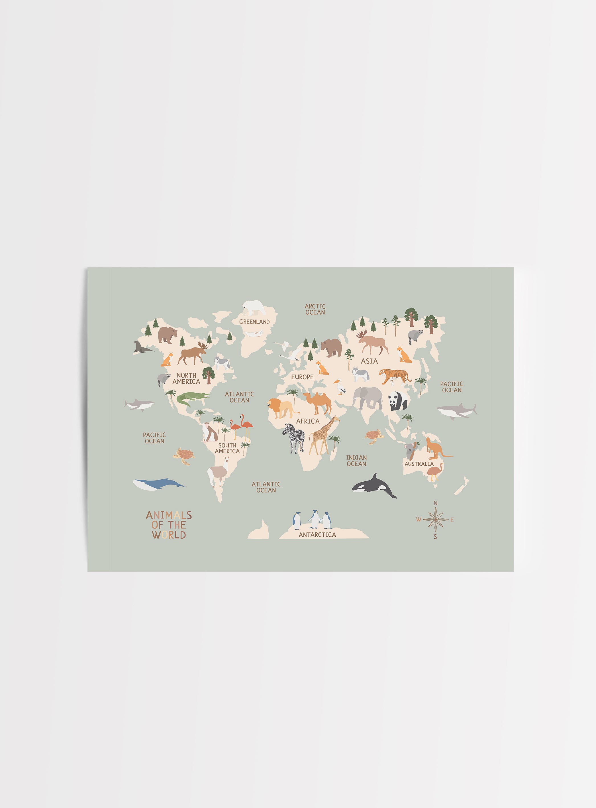 The World Map in Sage