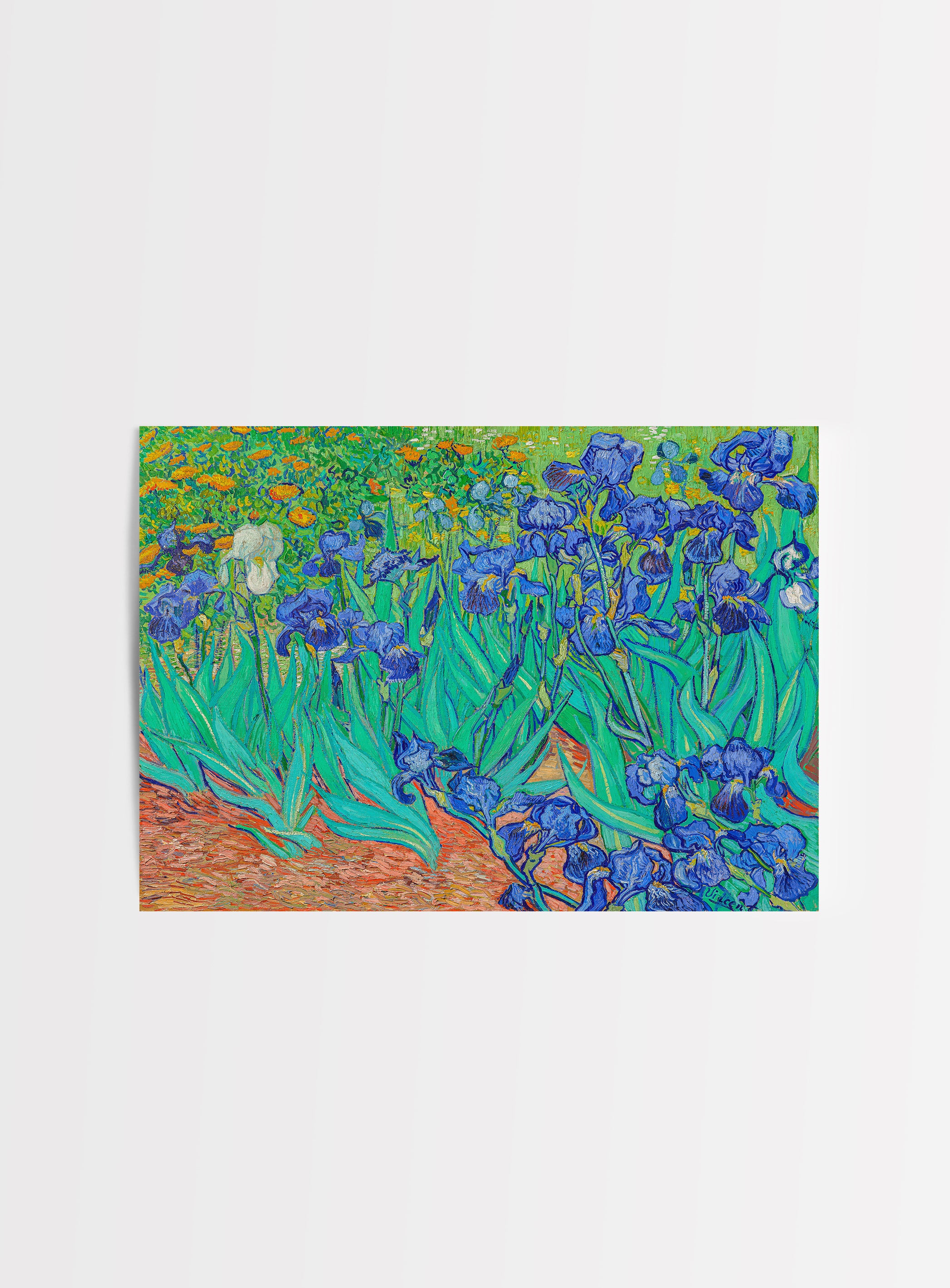 Irises Vincent Van Gogh
