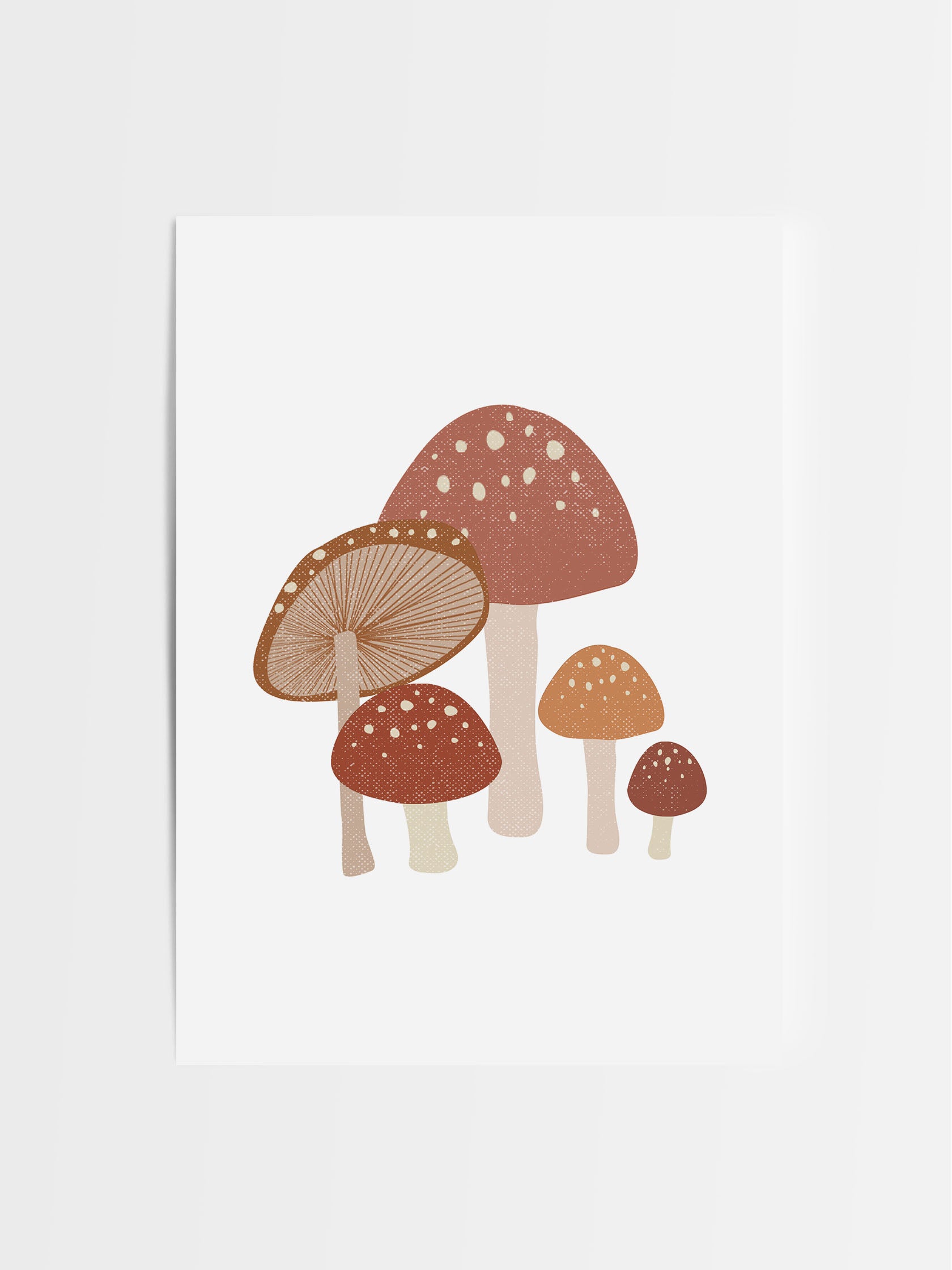 Mushrooms in Terracotta
