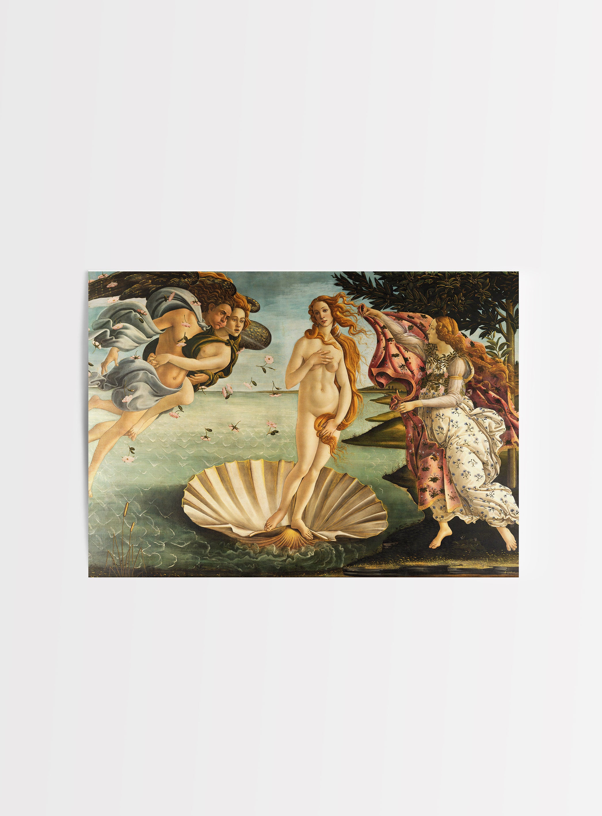 The Birth of Venus Sandro Boticcelli
