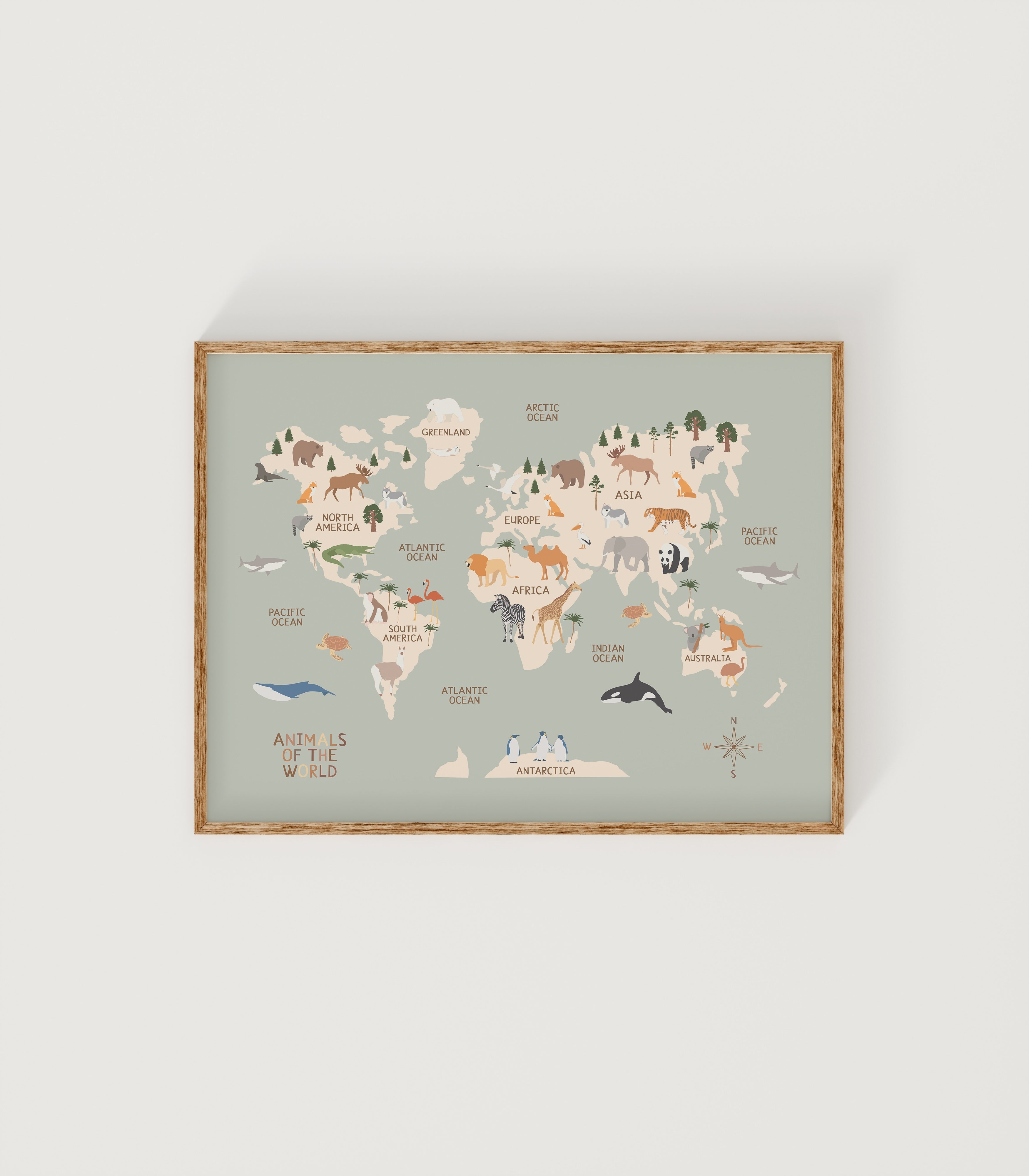 The World Map in Sage