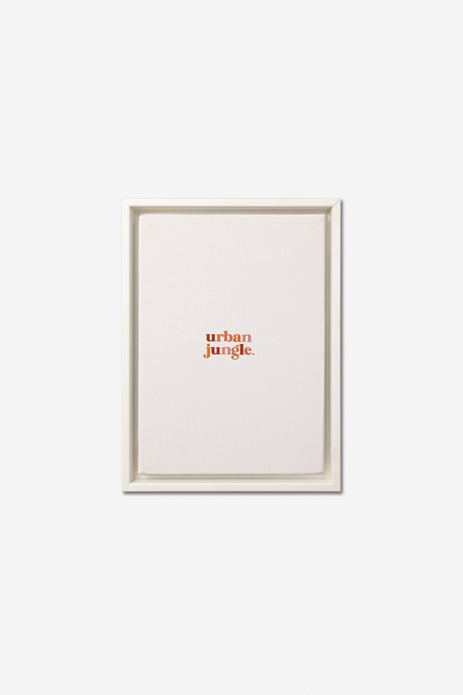 Floating White Wood Frame