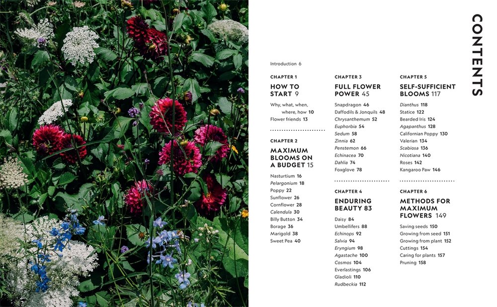 Super Bloom Hand Book