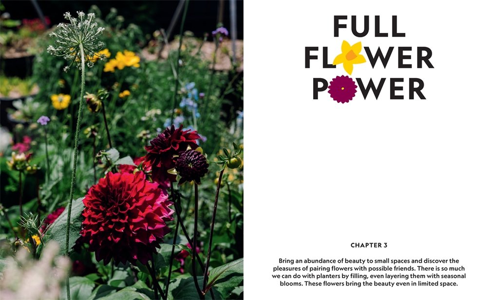 Super Bloom Hand Book