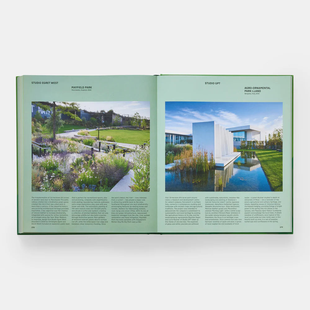 The Contemporary Garden