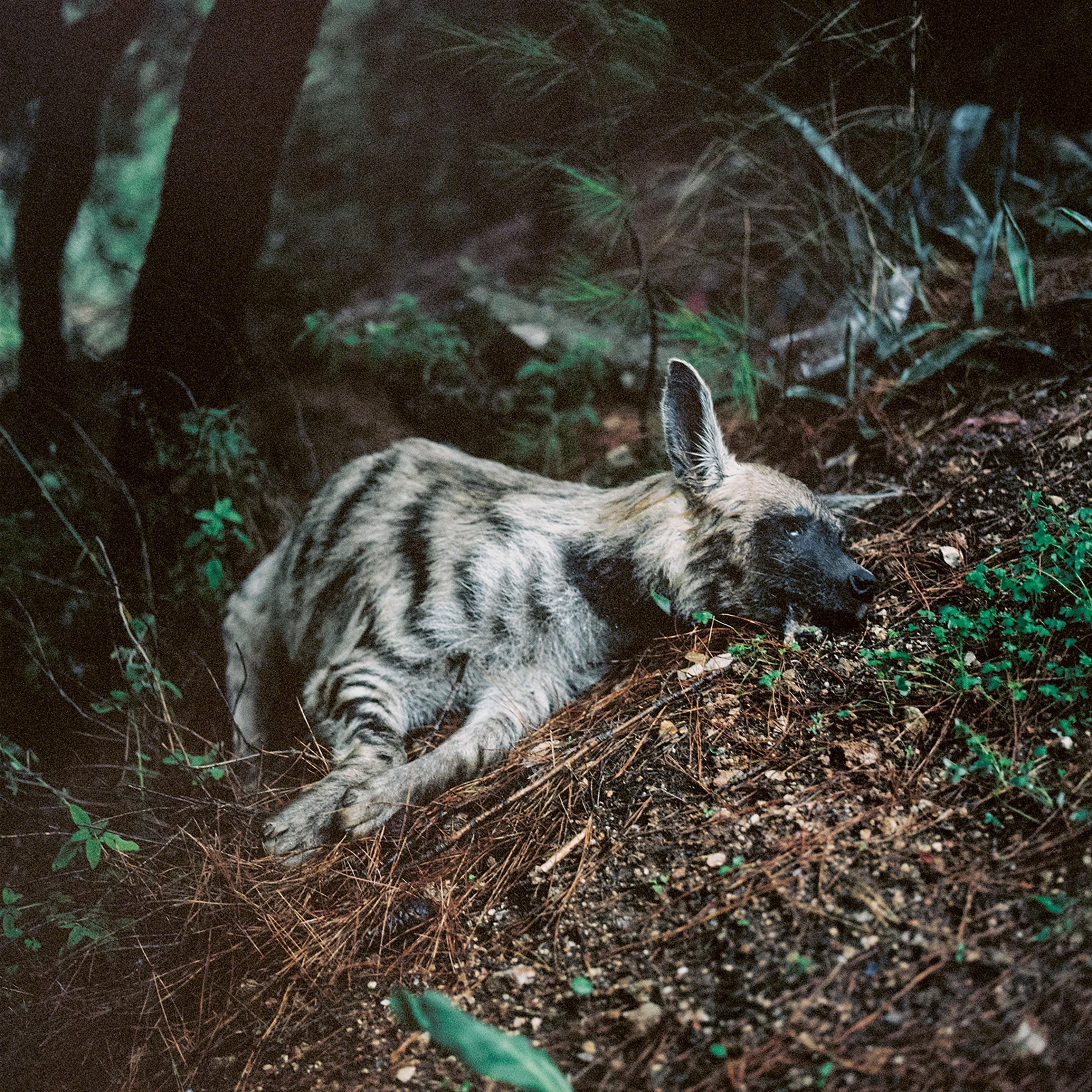 How Can It Still Be Home?