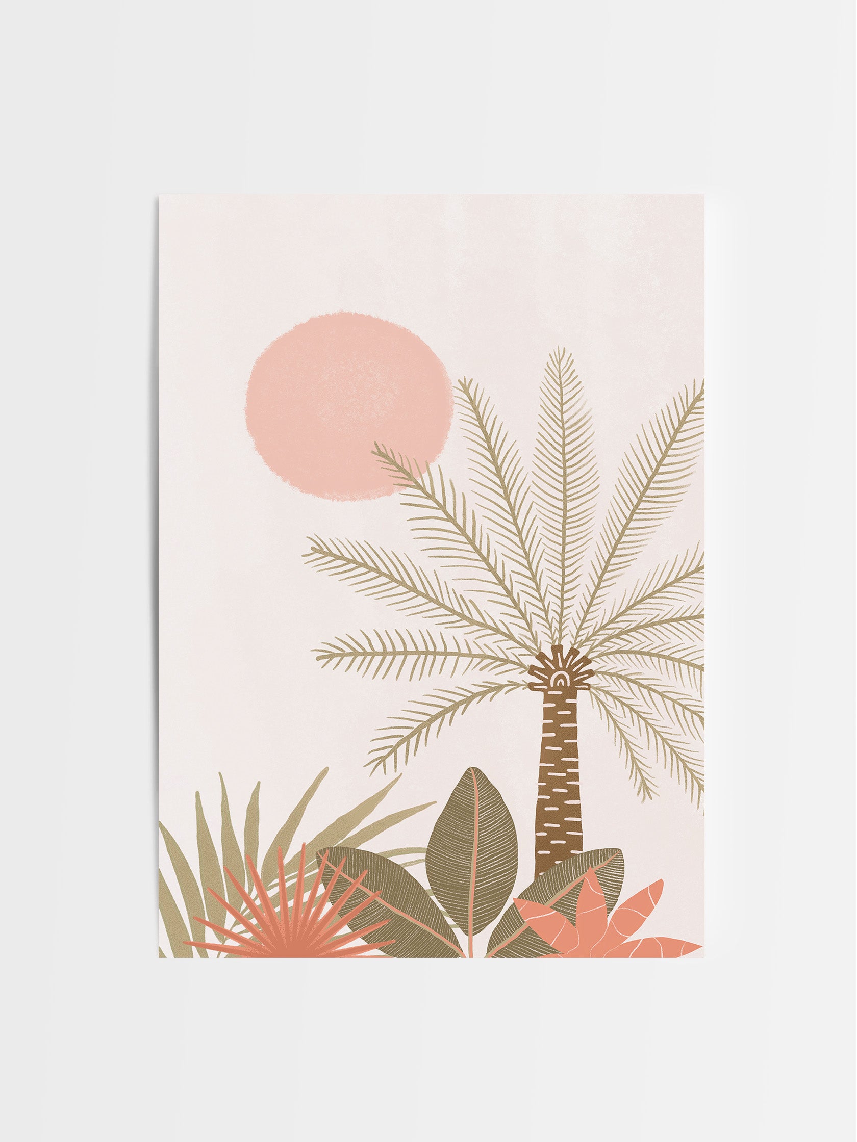 Tropical Dreams