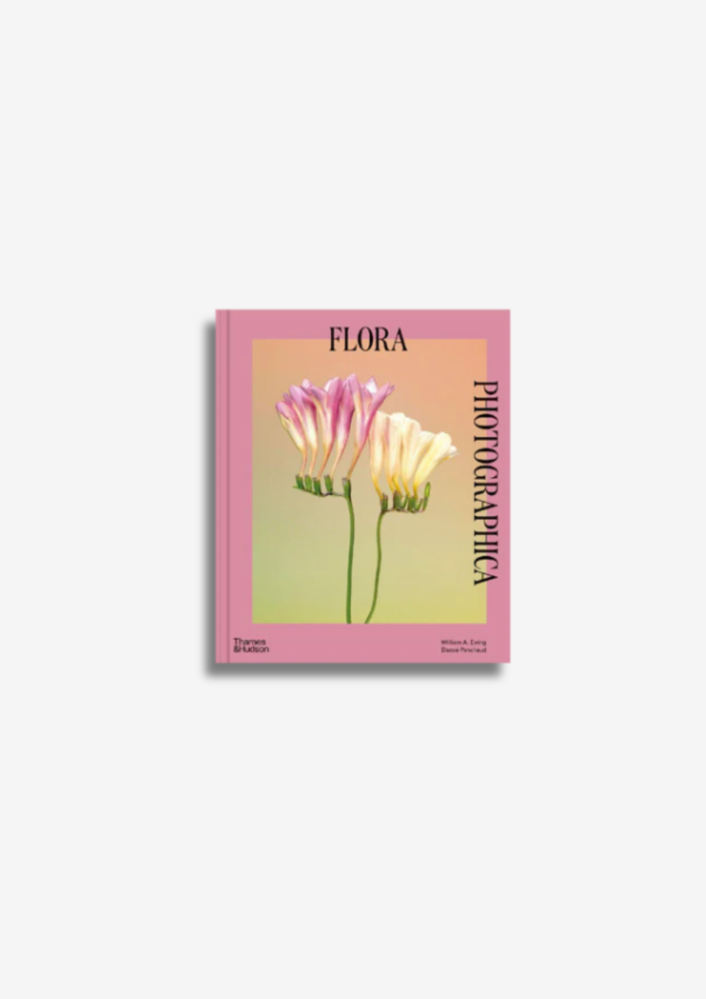 Flora Photographica