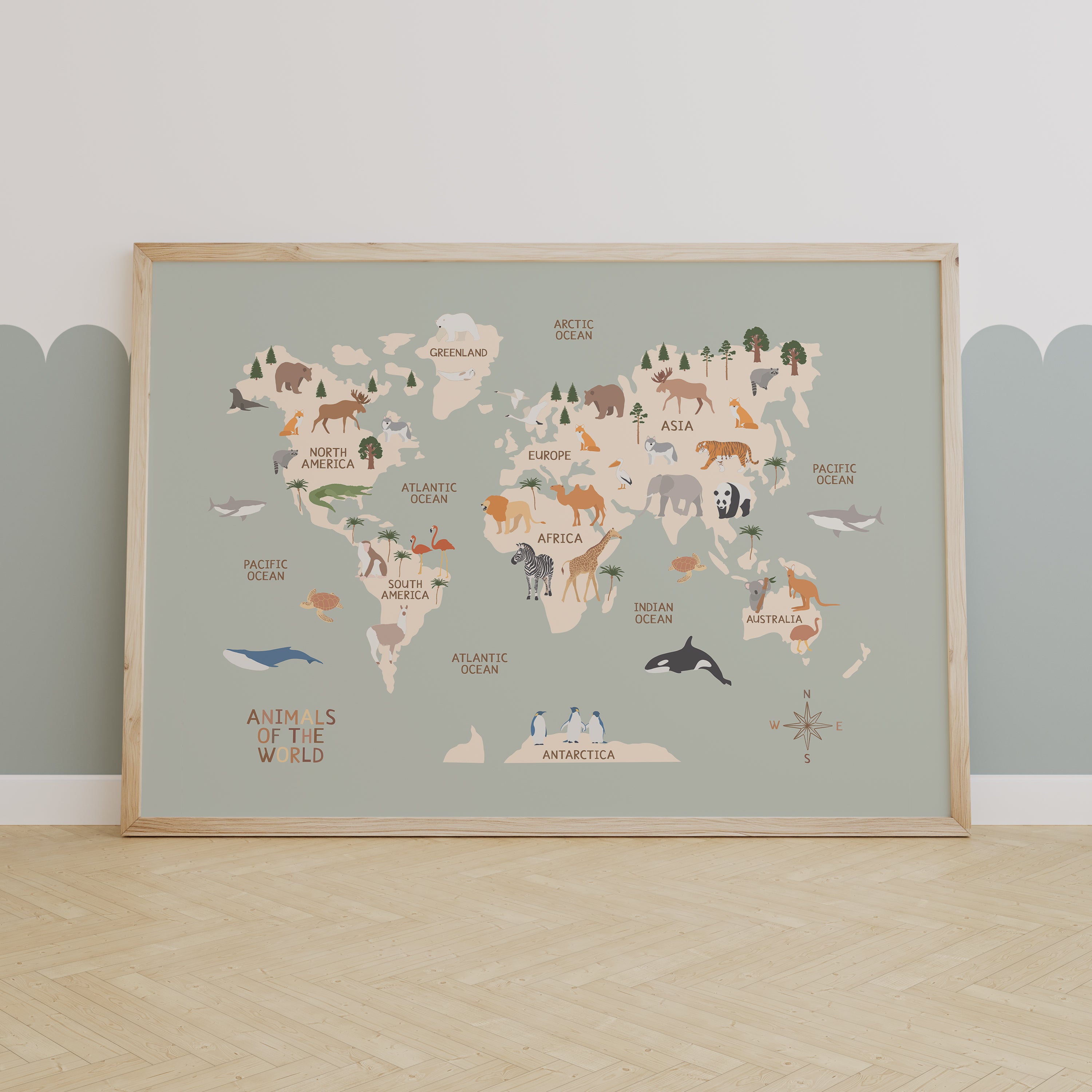 The World Map in Sage
