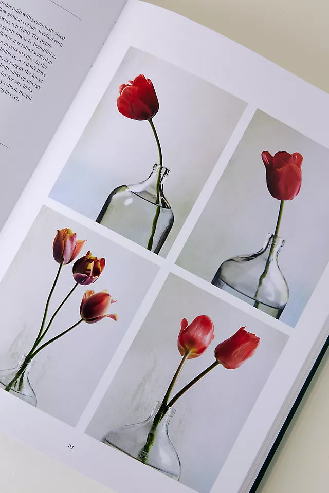 The Tulip Garden