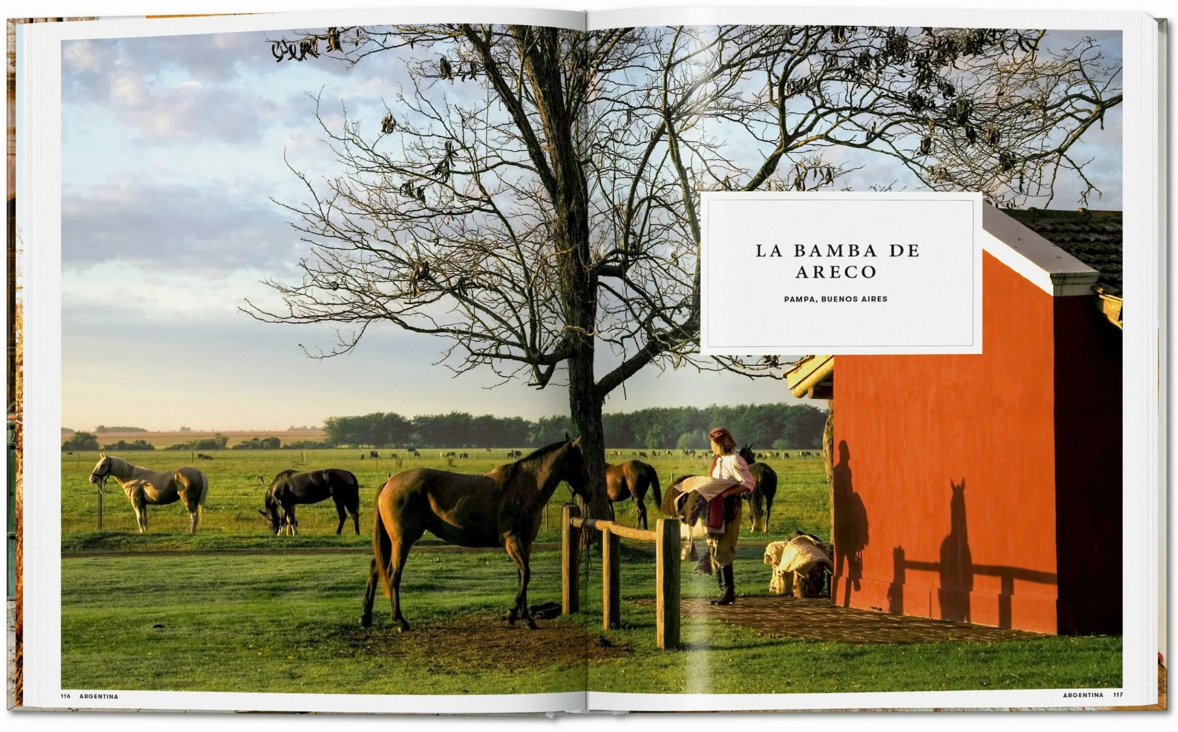 Great Escapes Latin America- The Hotel Book