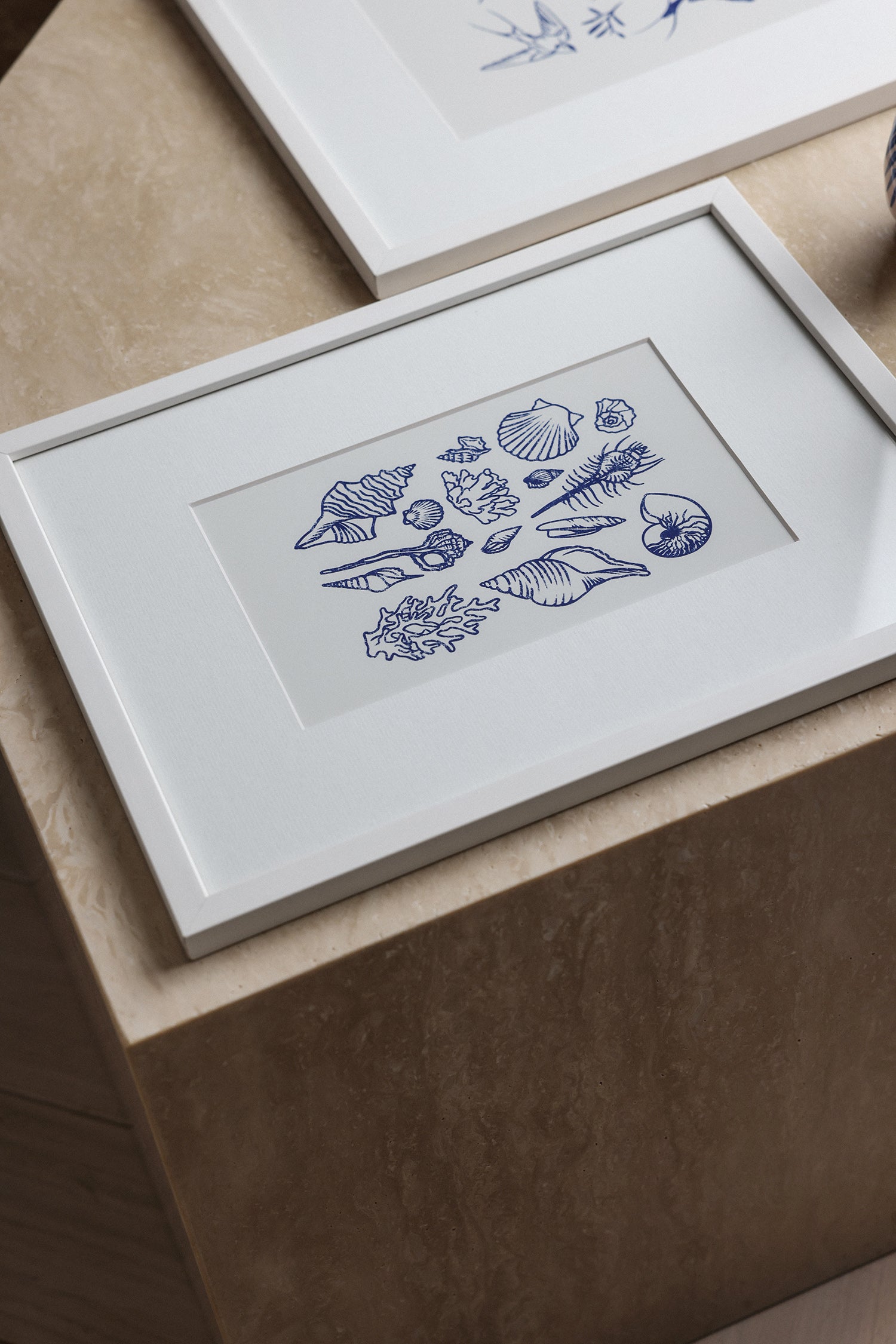 Shells Etchings