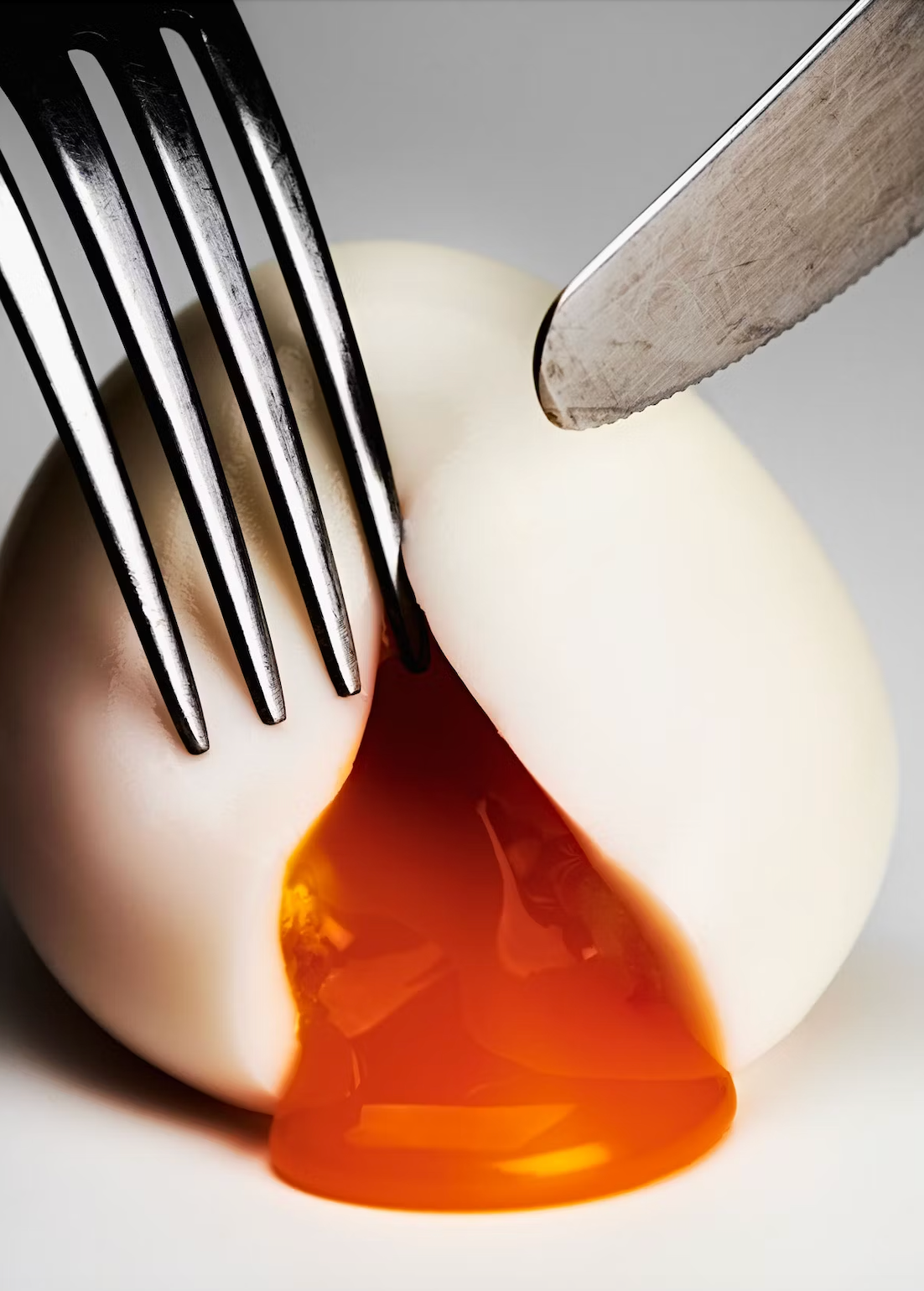 The Gourmand´s Egg