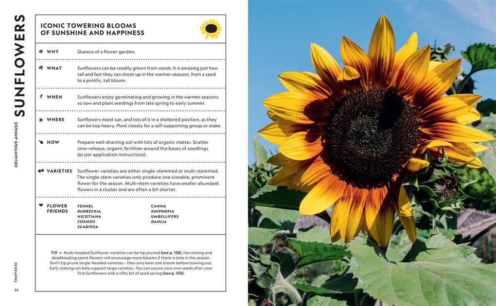 Super Bloom Hand Book