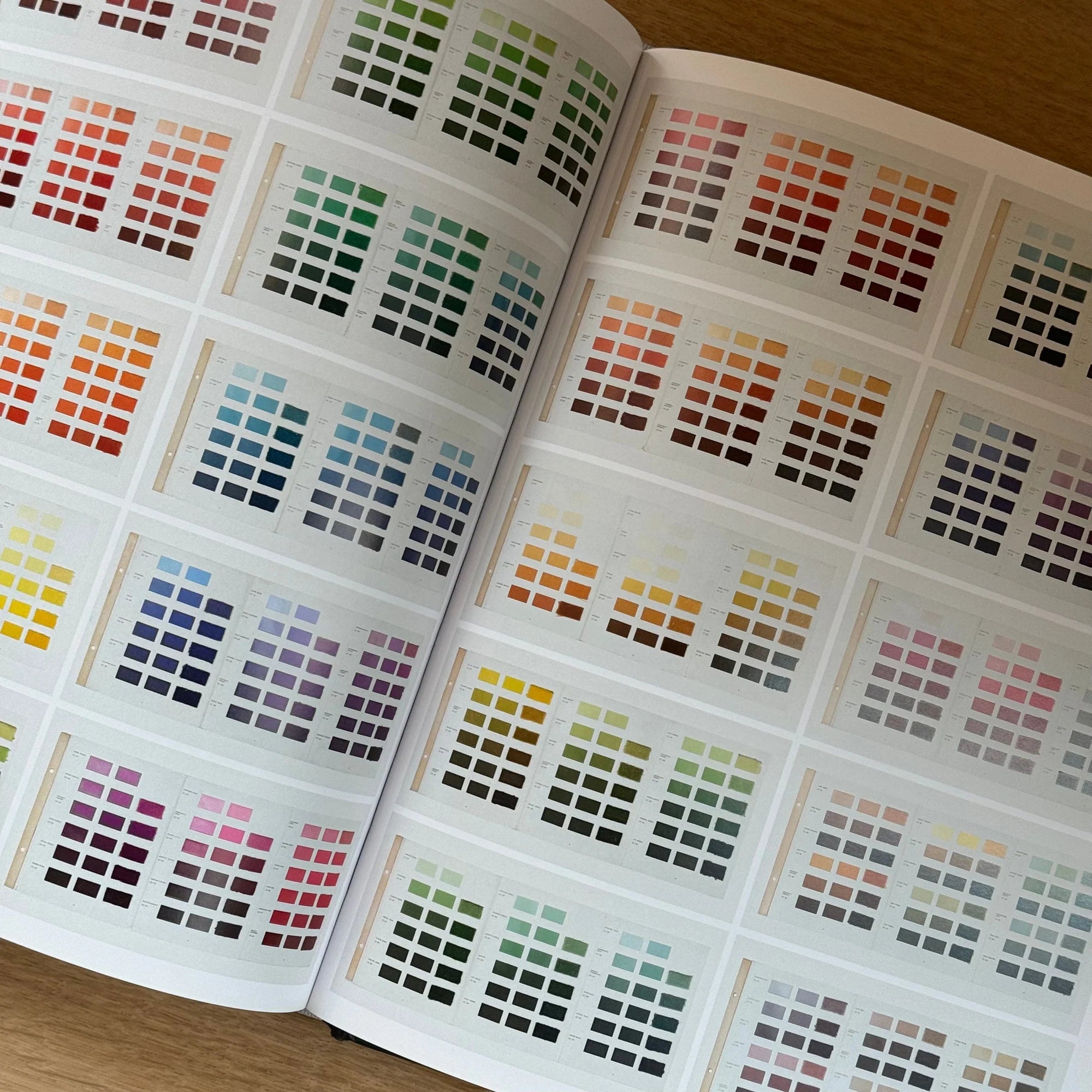 The Anatomy of Color