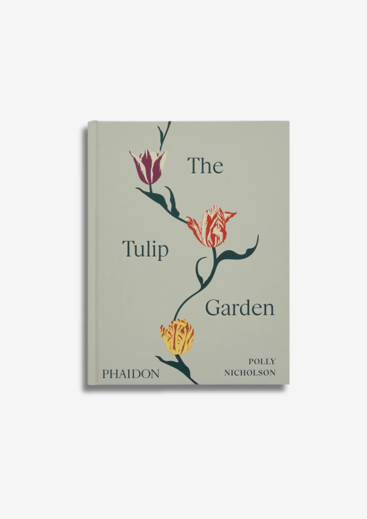 The Tulip Garden