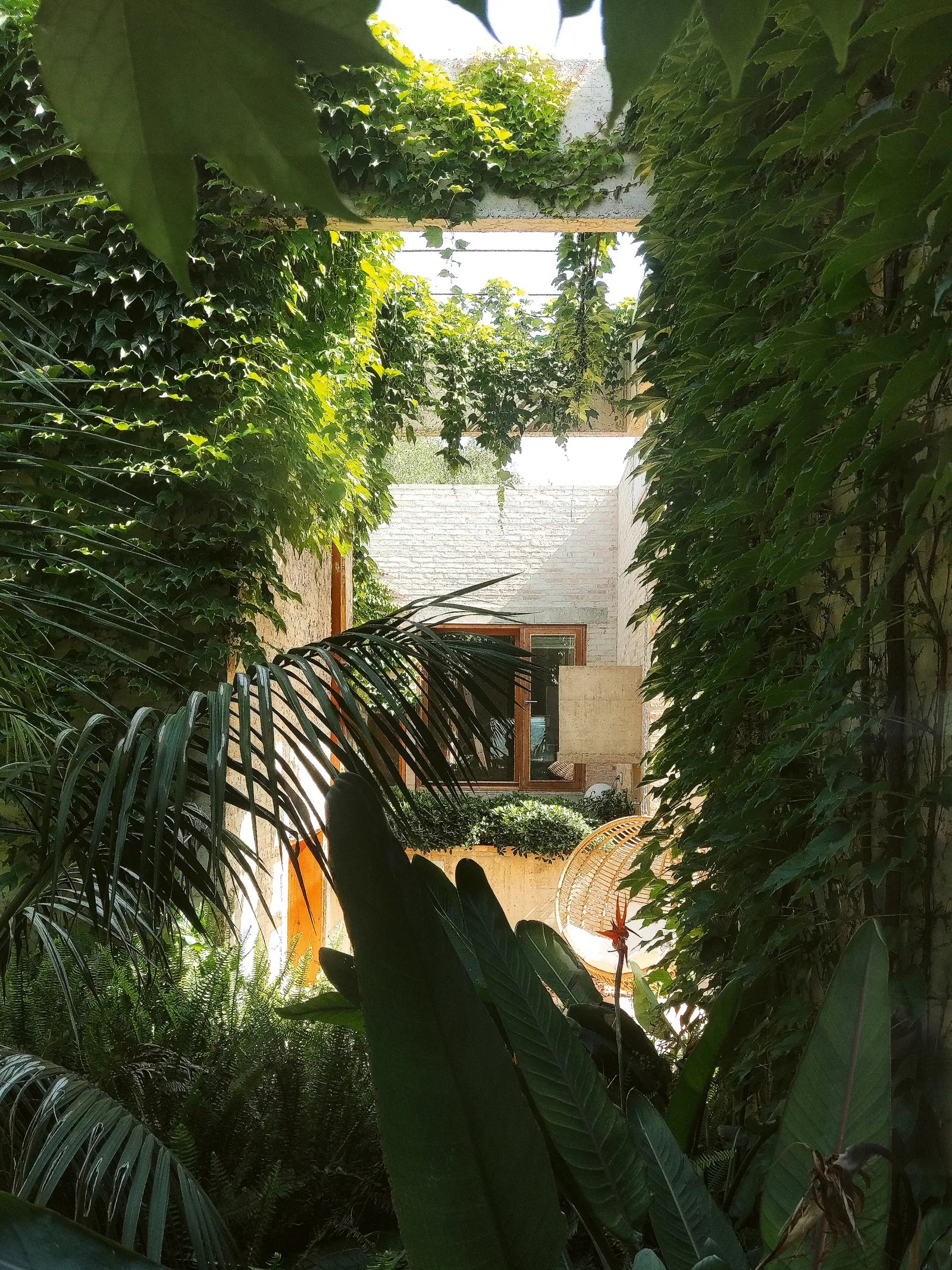 Courtyard Homes